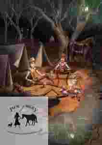 The man from snowy river