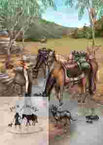 Retreating to Tom Groggin Cattle Station